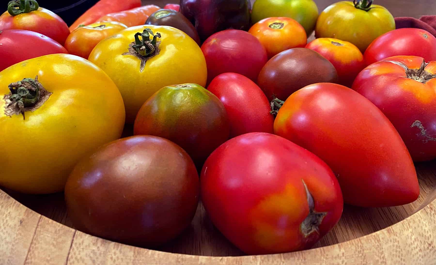 10 Ideas for Rising Tomatoes * Massive Weblog of Gardening