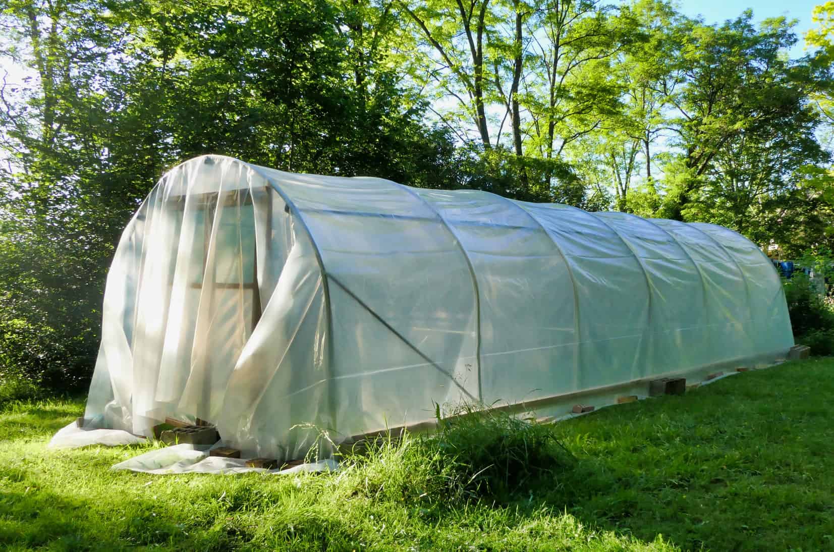 Polytunnel Rising For Newcomers * Large Weblog of Gardening